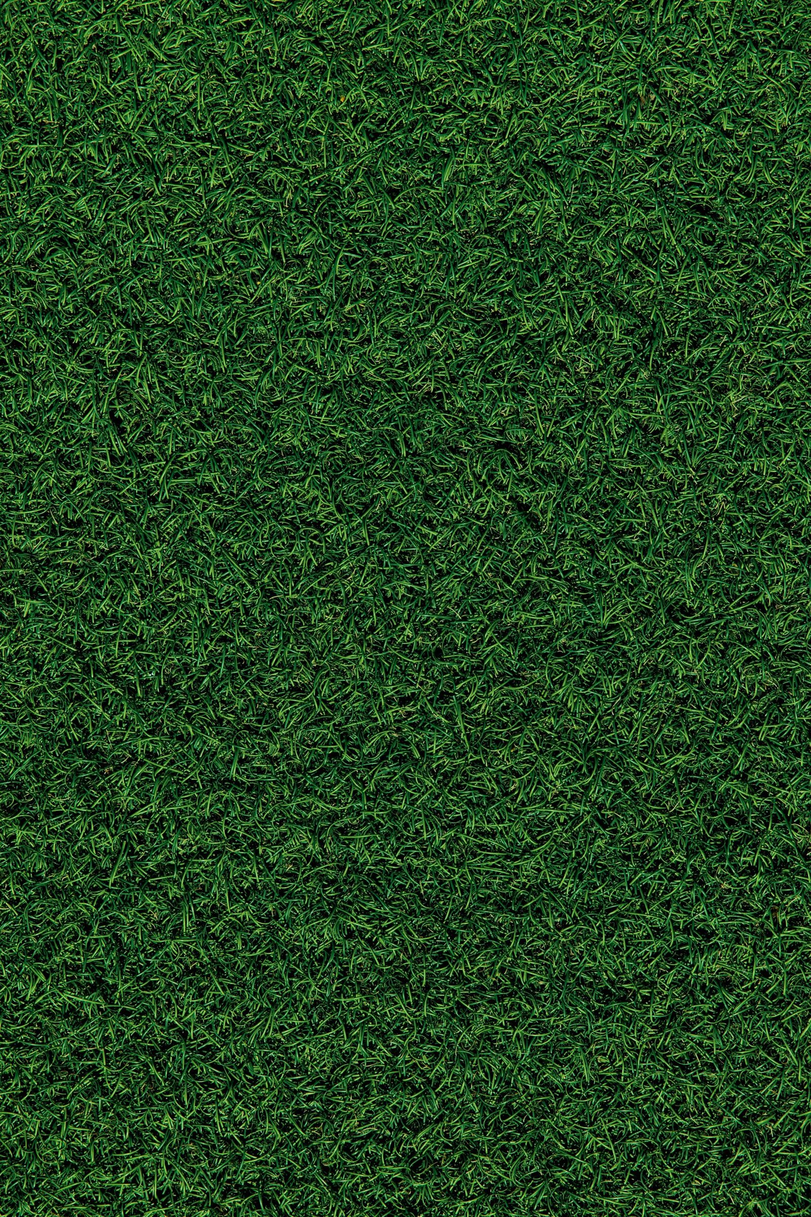 Why are pets a threat to my neighbor’s Lawn?